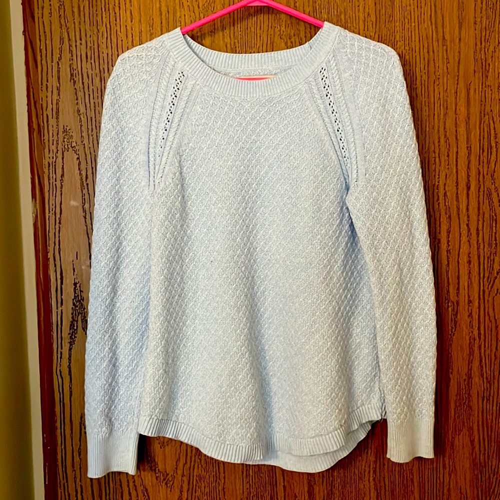 Light blue crew sweater from Loft
